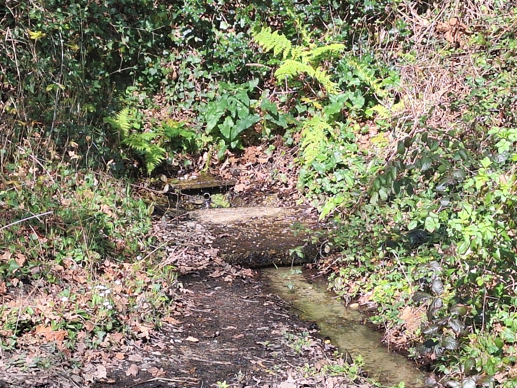 PARCOURS DE MARS EN LIGNE