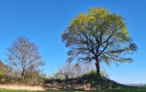 PARCOURS DE FEVRIER EN LIGNE