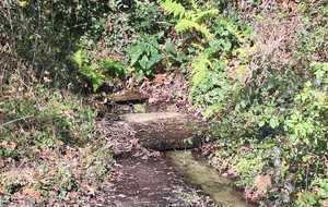 PARCOURS DE MARS EN LIGNE