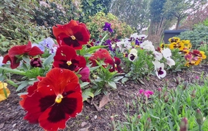 PARCOURS D'AVRIL EN LIGNE