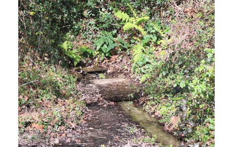 PARCOURS DE MARS EN LIGNE