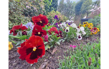 PARCOURS D'AVRIL EN LIGNE